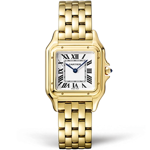 Копия часов Cartier Panthere Secrete De Ladies 27 WGPN0009 Арт.CR-0625