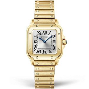 Копия часов Cartier Santos de Cartier Watch 27mm WGSA0107 Арт.CR-0992