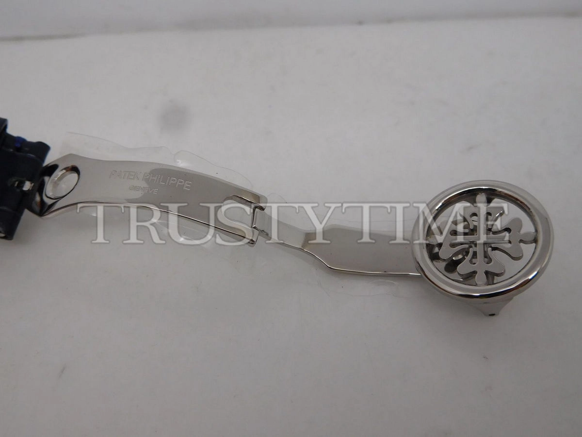 Копия часов Patek Philippe Grand Complications Celestial Sky Moon 44mm 6102P-001 Арт.PP-0445