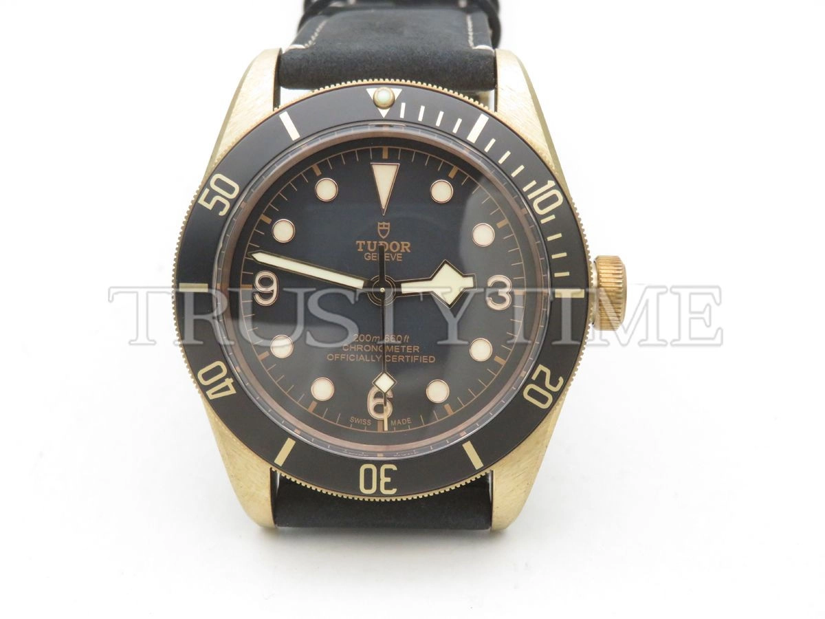 Копия часов Tudor Heritage Black Bay Bronzo 43mm M79250BA-0001 Арт.TD-0799