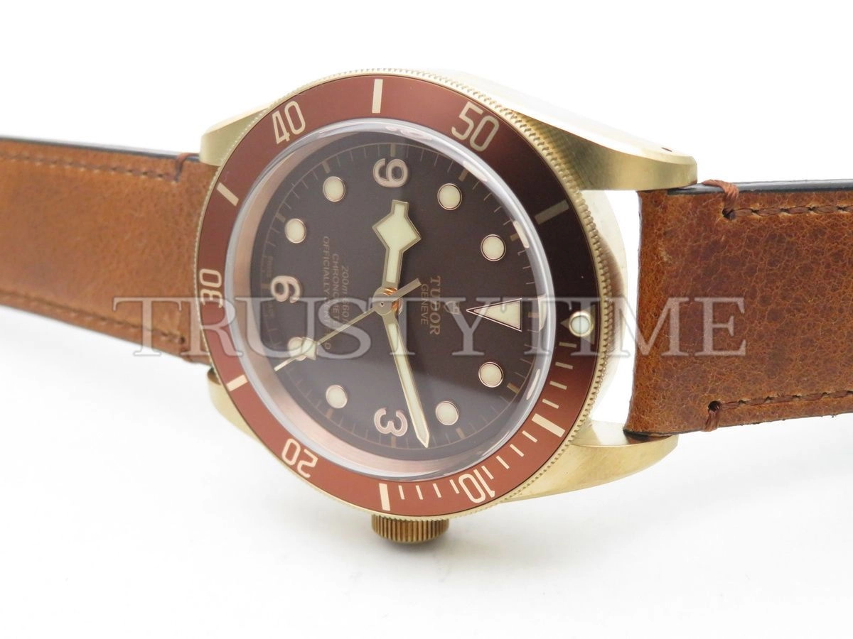 Копия часов Tudor Heritage Black Bay Bronzo 43mm M79250BM-0005 Арт.TD-0752