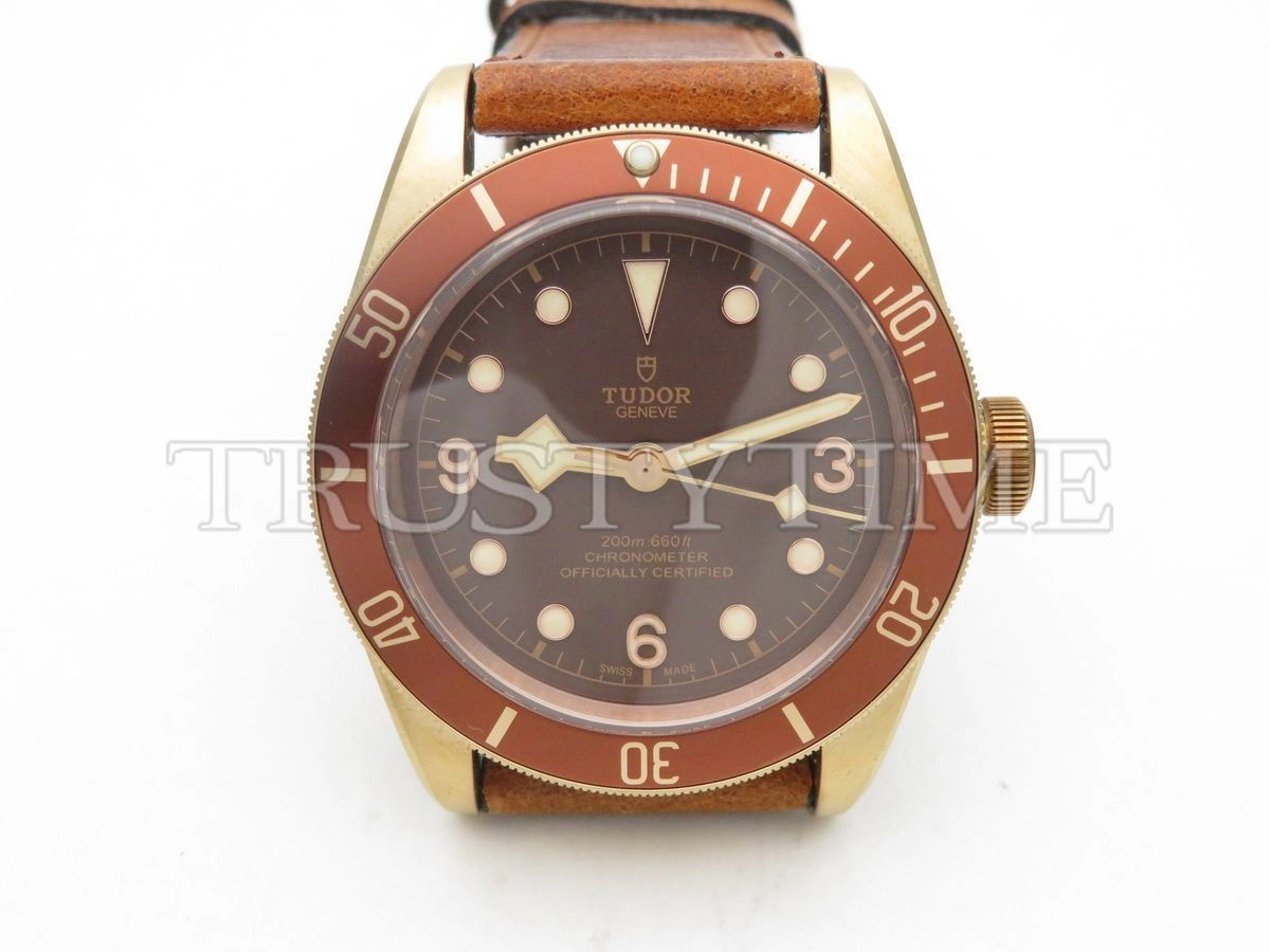 Копия часов Tudor Heritage Black Bay Bronzo 43mm M79250BM-0005 Арт.TD-0752