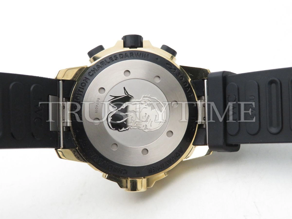 Копия часов IWC Aquatimer Chronograph Bronzo 44mm IW379503 Арт.IW-0752