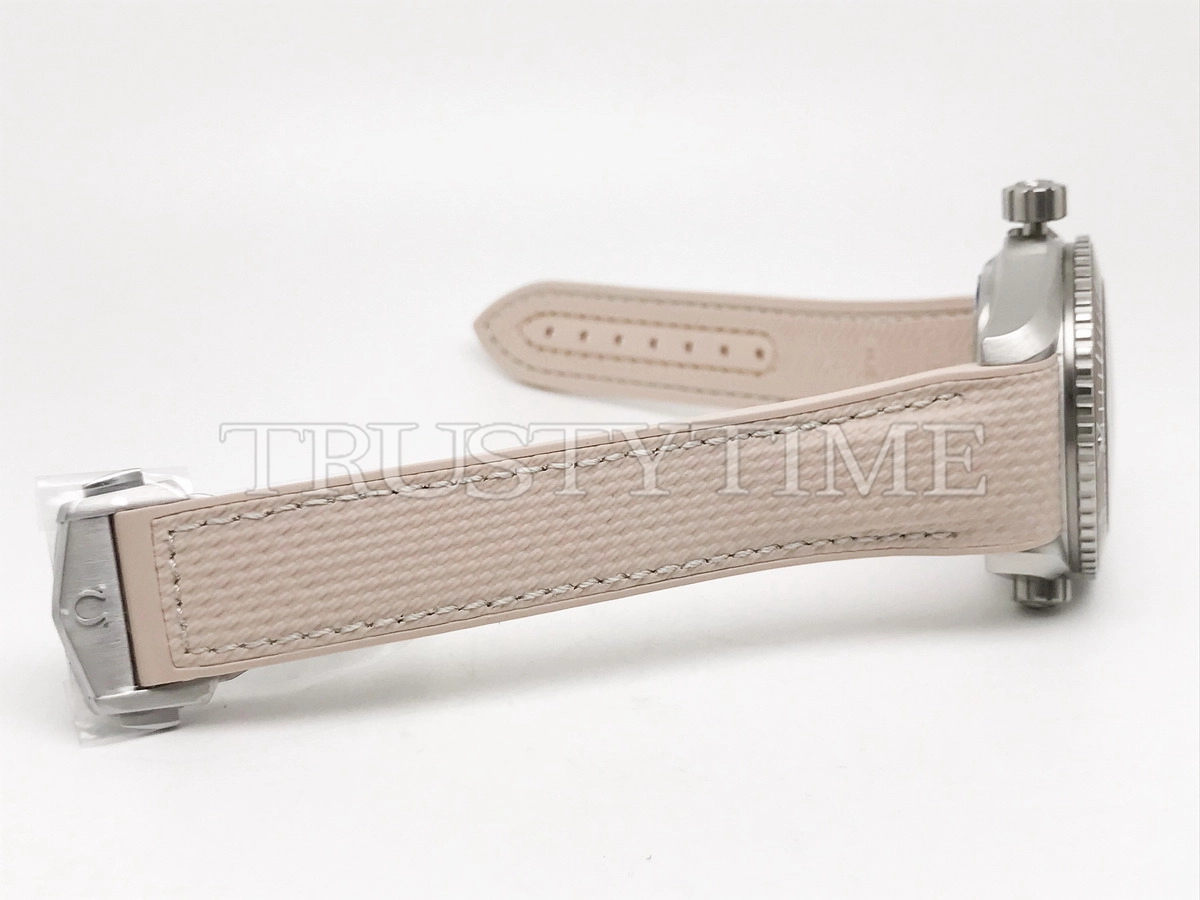 Копия часов Omega Seamaster Planet Ocean 600m 43,5mm 215.32.44.21.09 Арт.OM-0998