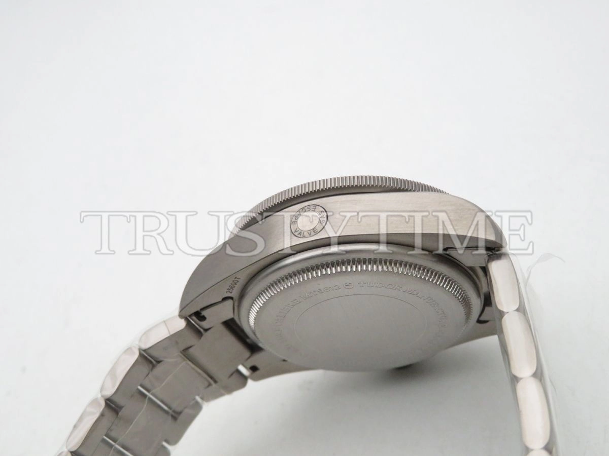 Копия часов Tudor Pelagos Titanium 42mm M25600TN-0001 Арт.TD-0780