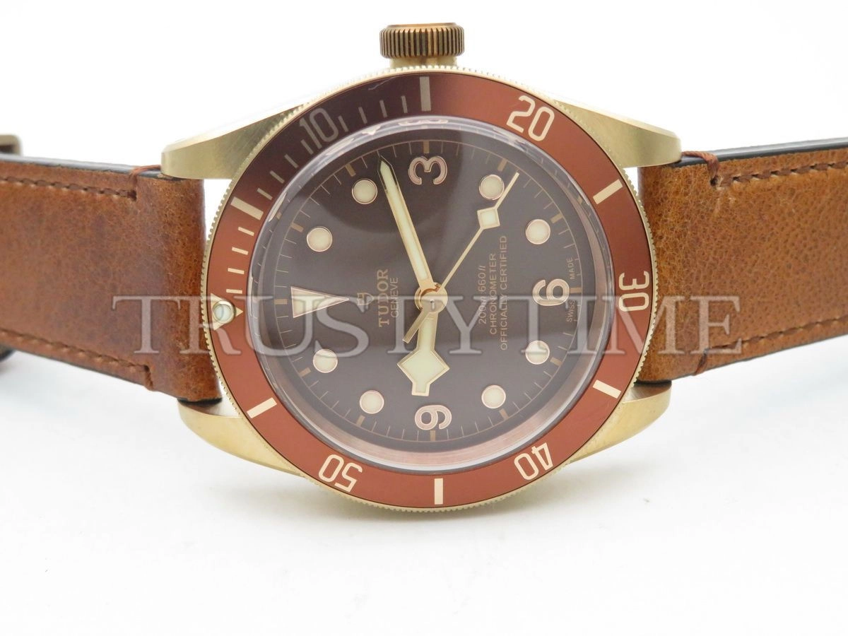 Копия часов Tudor Heritage Black Bay Bronzo 43mm M79250BM-0005 Арт.TD-0752