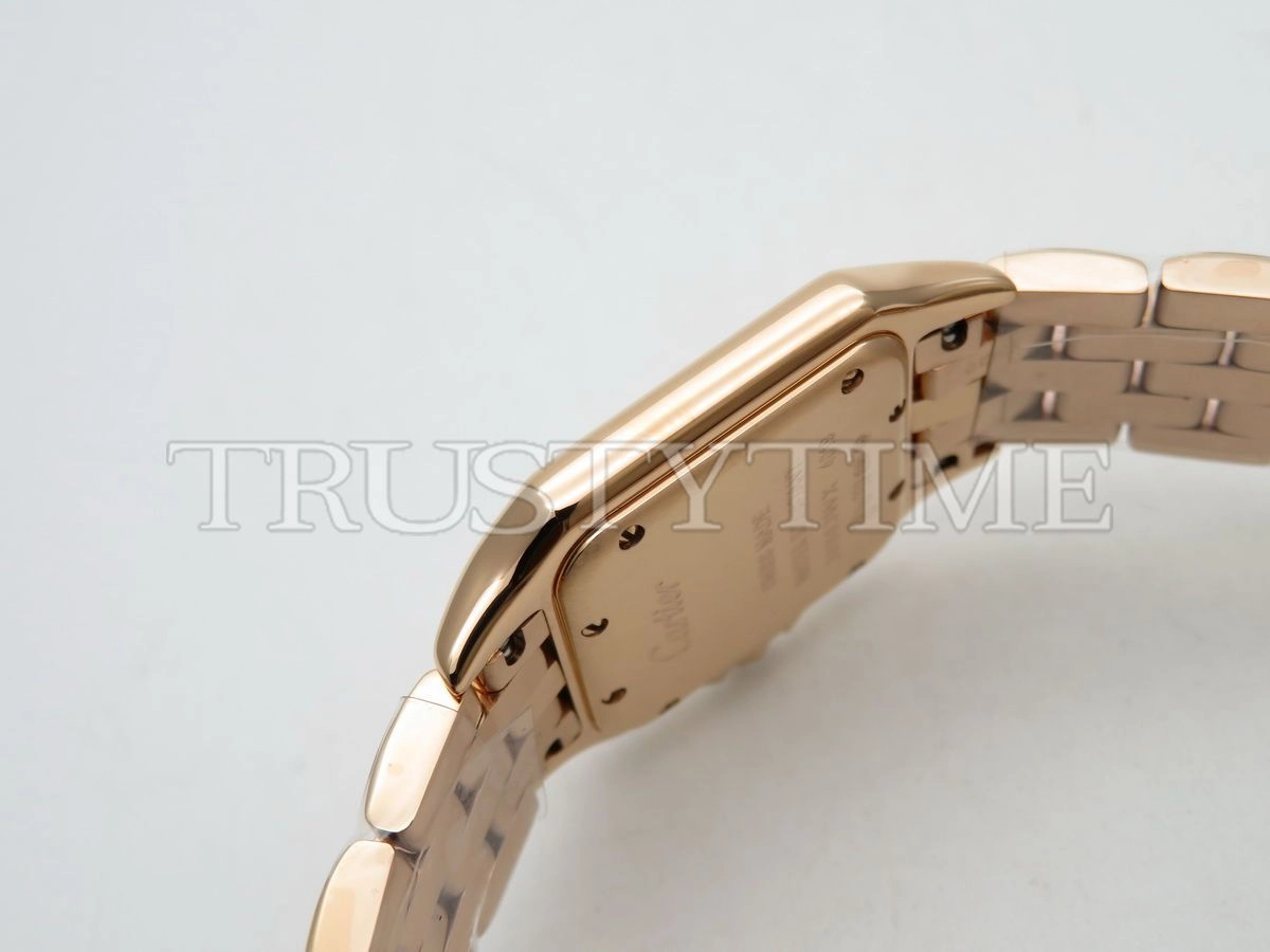 Копия часов Cartier Panthere Secrete De Ladies 27 WJPN0009 Арт.CR-0623